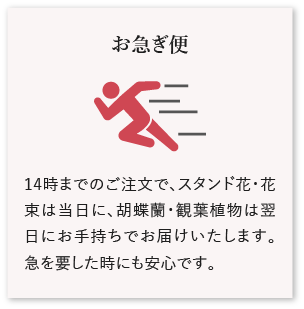 お急ぎ便